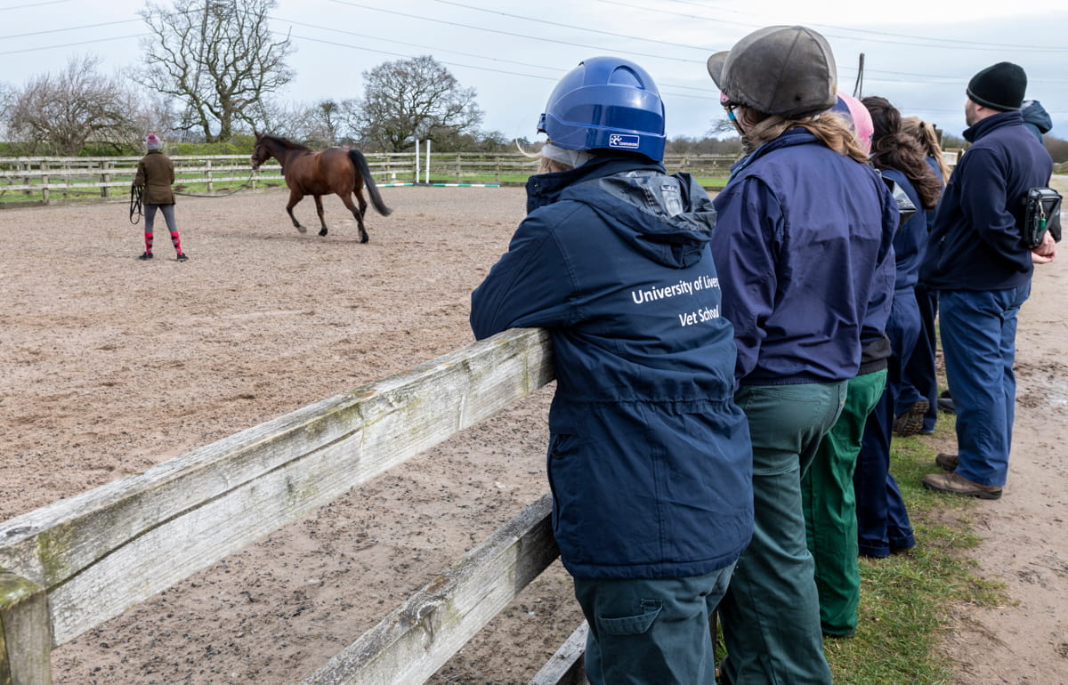 Vet Students at Leahurst Campus with Horse