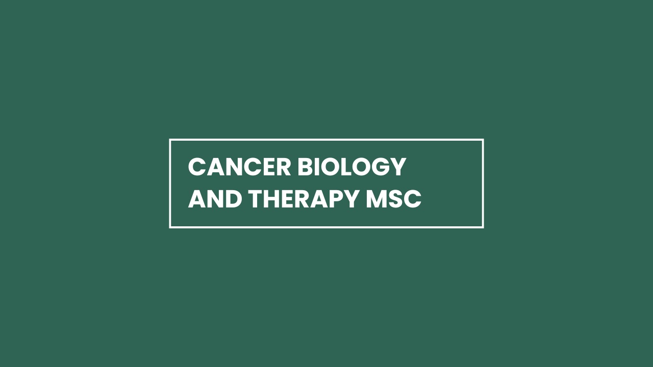 Cancer Biology and Therapy MSc