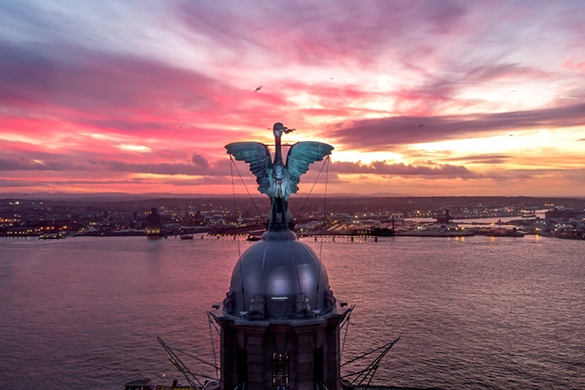 Close up of the liver bird on top of the Liver Building at sunset