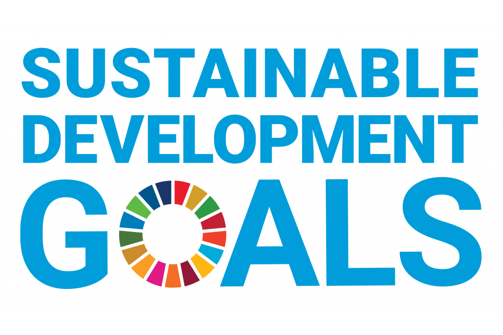 UN Sustainable Development Goals logo